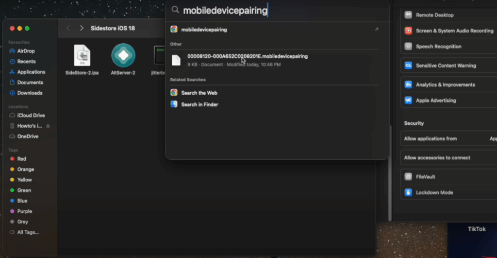 SideStore_Pairing_File 4