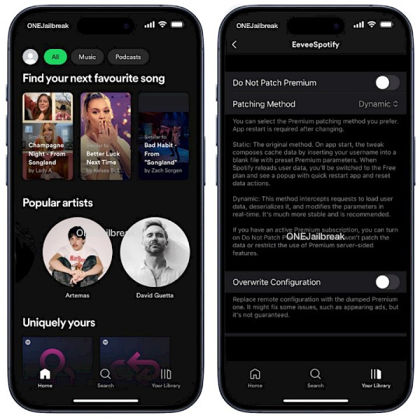 Download EeveeSpotify IPA